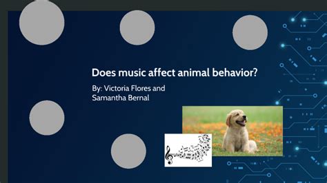 does music affect animal behavior? Does listening to classical music make animals feel more relaxed?