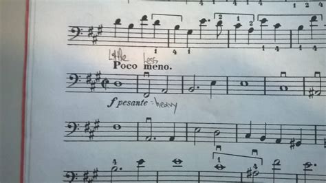 what does poco a poco mean in music